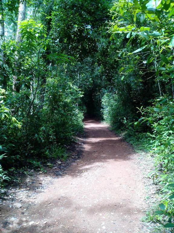 Sobaco Nature Resort ベントータ エクステリア 写真