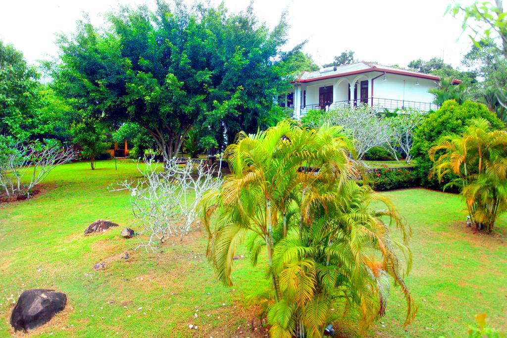 Sobaco Nature Resort ベントータ エクステリア 写真