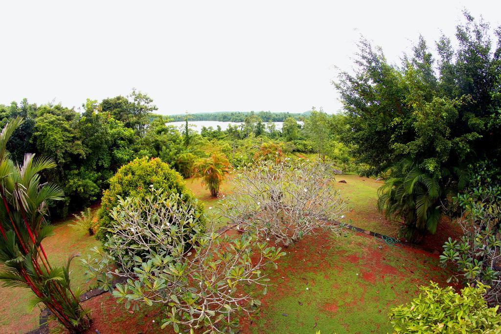 Sobaco Nature Resort ベントータ エクステリア 写真