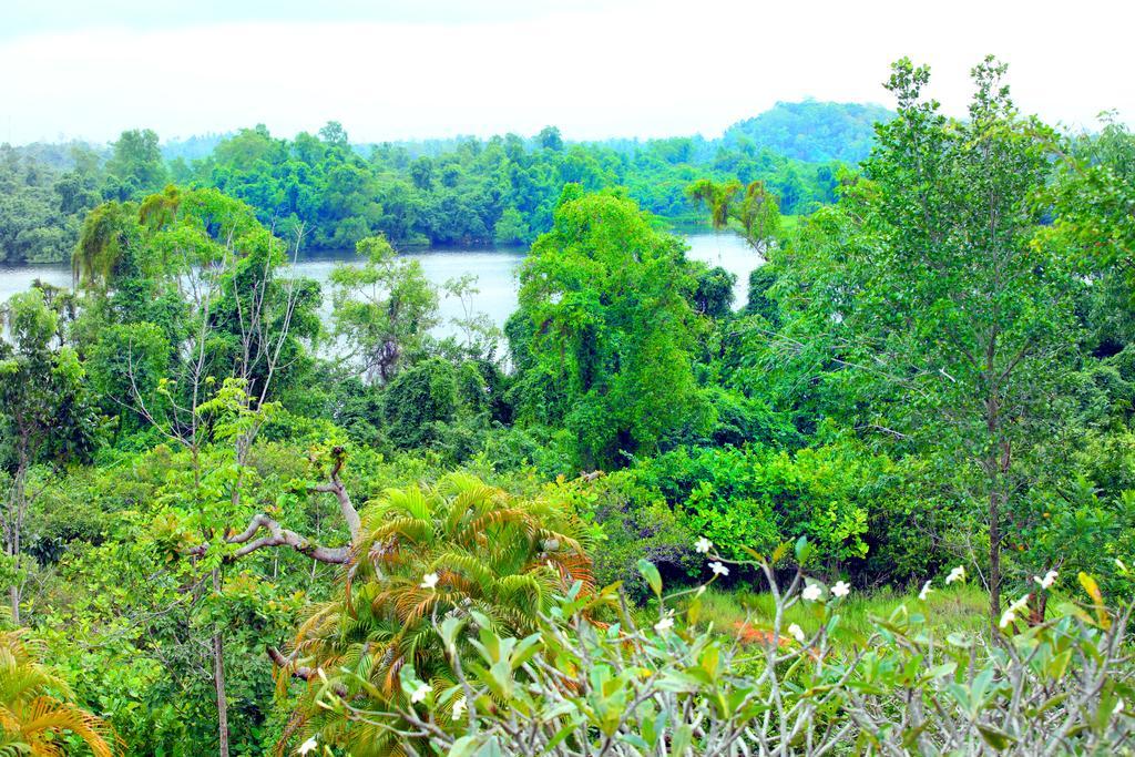 Sobaco Nature Resort ベントータ 部屋 写真